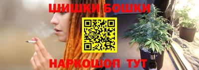 индика Кинель