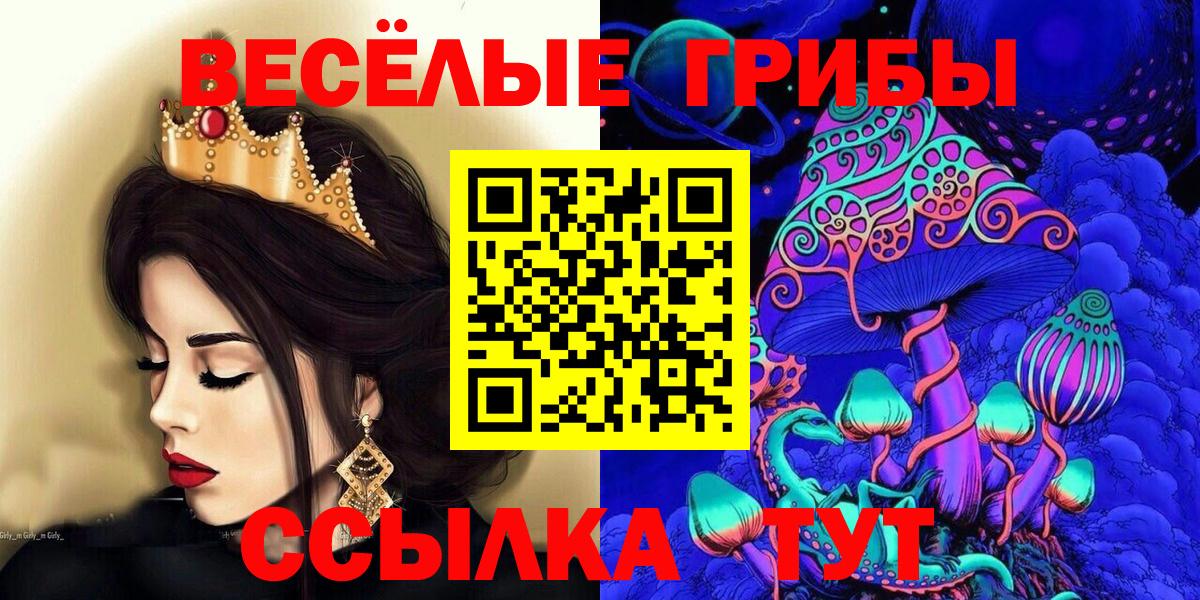 Краснокаменск  Галлюциногенные грибы прущие грибы  Вход с VPN 