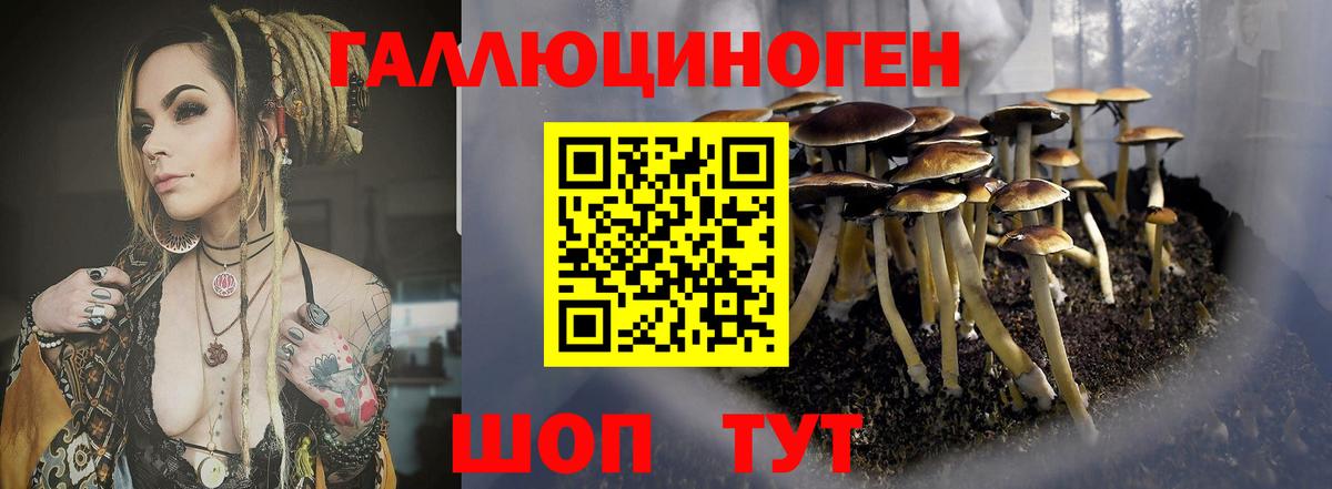 Галлюциногенные грибы MAGIC MUSHROOMS Краснокаменск